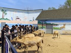 -临沂动植物园