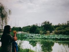 -白鹭湾湿地公园