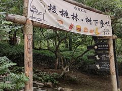 -北京张裕爱斐堡酒庄