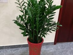 -张钰强中医正骨推拿连锁(唐家人才公寓店)