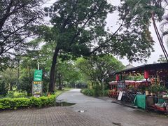 -南沙蒲洲花园