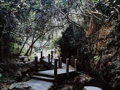 -阳台山森林公园