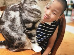 -猫小院猫主题餐厅(三里屯店)
