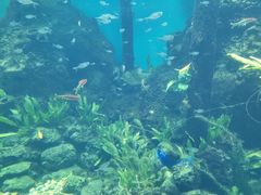 -石家庄海洋公园