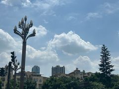 -桂湖森林公园