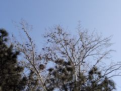 -国家植物园南园
