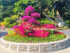 -广州市白云山风景名胜区