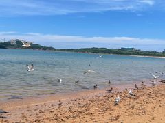 -海驴岛(荣成市)