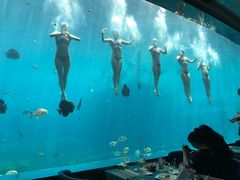 -瑞德姆美人鱼海底演艺主题餐厅(亚龙湾店)