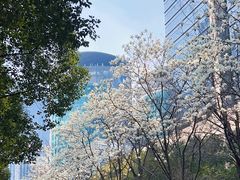 -中海财富中心