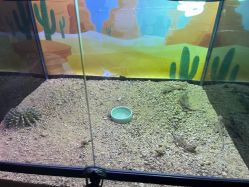 -酷嗒动物文化乐园(cutezoo西溪乐天城店)