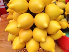 -越秀西湖花市(广州城市广场花卉店)