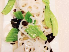 -陈麻婆豆腐总店
