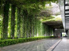 -悦然广场(北滘店)