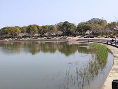 -新江湾城公园