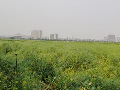 -光明小镇欢乐田园
