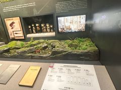 -四川大学博物馆