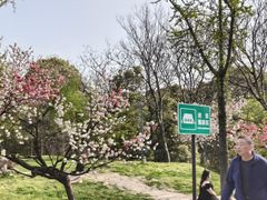 -蜀冈西峰生态公园