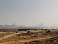 -秋水广场