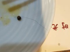 -舌尖上的食缘花园主题餐厅