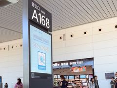 -广州白云国际机场-T2航站楼