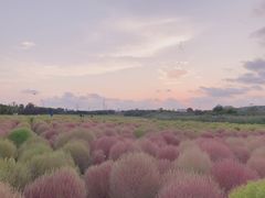 -映月湖中央公园