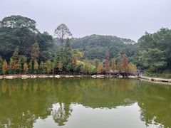 -广州市帽峰山景区