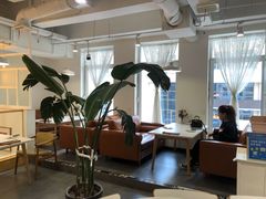 大堂-妞妞家(银通店)