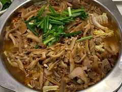-古乐牛香·鲜牛肉牛杂火锅(新区店)