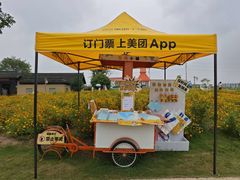 -杭州湾海上花田景区