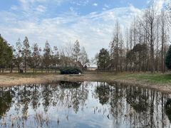 -同里国家湿地公园