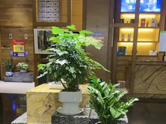 -黔蘑菇四季餐厅(观山湖店)