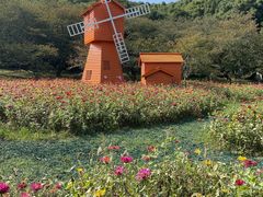 -苏州上方山国家森林公园