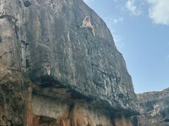 -海南热带野生动植物园
