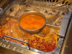 -蜀九鼎毛肚火锅(惠安店)