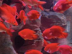 -成都浩海立方海洋公园