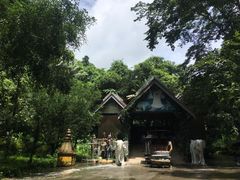 -莫里热带雨林景区