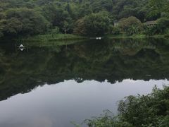 -李小龙乐园(顺德均安店)
