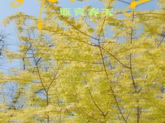 -陕西省西安植物园