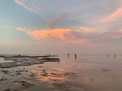 -南汇嘴观海公园