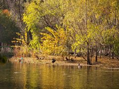 -长白岛森林公园