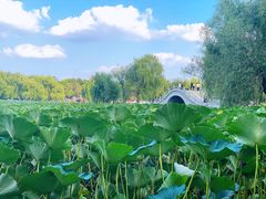 -长春市南湖公园