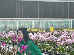 -兰陵国家农业公园