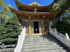 -上海东林寺(金山区)