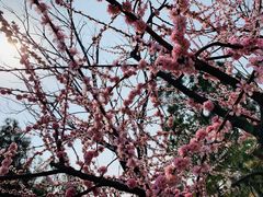 -济南国际园博园