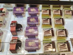 -喜莲娜动物奶油生日蛋糕(白云店)