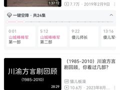 -约翰·菲茨杰拉德·肯尼迪国际机场