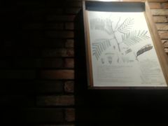 -盛江山自助料理(太原街万达店)