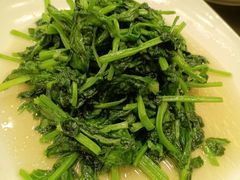 高山豆苗-新南华大酒店(广中店)