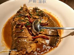 -食为先庐畔渔歌(合作化路店)